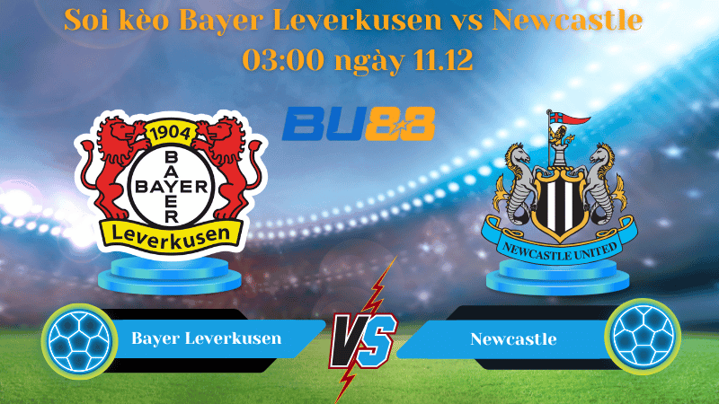 BU88 Nhận định soi kèo Bayer Leverkusen - Newcastle 03:00 ngày 11.12 - Champions League