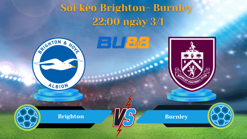 BU88 Nhận định soi kèo Brighton- Burnley 22:00 ngày 3/1 - Ngoại Hạng Anh